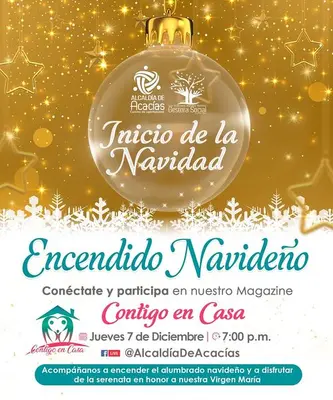 Participe del encendido del alumbrado de Navidad