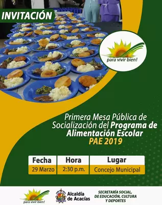 PRIMERA MESA PÚBLICA DE SOCIALIZACIÓN DEL PAE