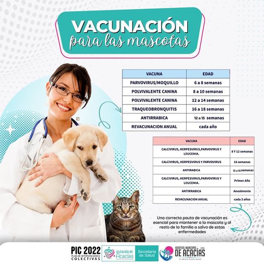 Vacunas para sus mascotas