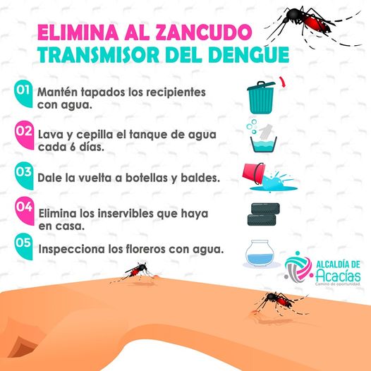 Que Es El Dengue Prevencion