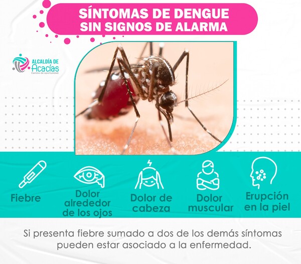 Identifique Los S Ntomas Del Dengue Y Acuda A Su M Dico