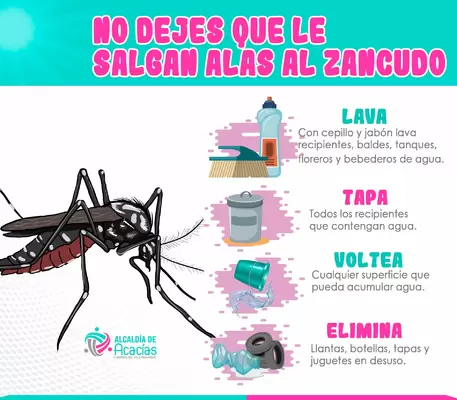 Recomendaciones para prevenir el Dengue