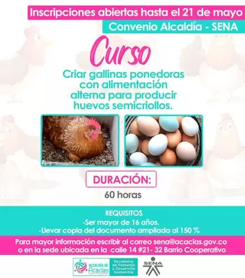 Capacitación SENA: Cria de Gallinas Ponedoras