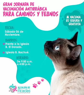 Continúa Jornada de Vacunación a mascotas en Bachué y El Dorado